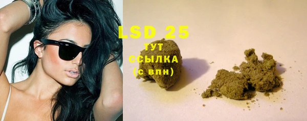 прущие грибы Алексин