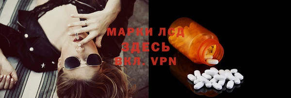 прущие грибы Алексин